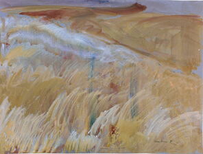 Landschaft mit viel Gras