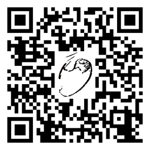 QR-Code Video Pilbowbild 200310